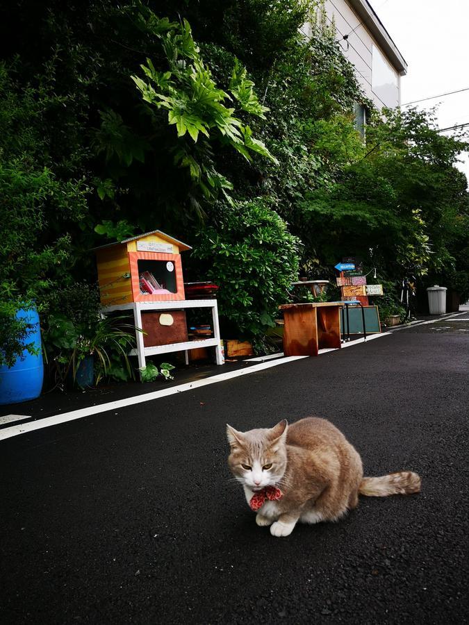 Air Osaka Hostel Eksteriør bilde
